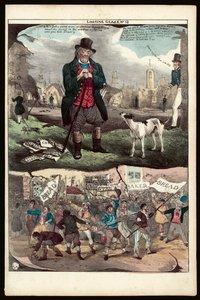 The Looking Glass, nr. 12 av English School